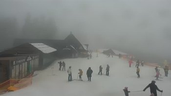 Буковель 5 січня 2021 року, 2021-01-05 16:00