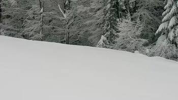 Буковель 28 грудня 2021 року, 2021-12-28 16:00