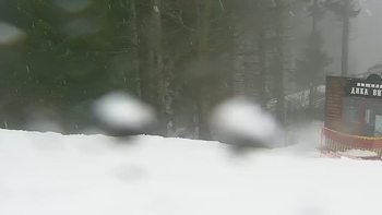 Буковель 4 січня 2022 року, 2022-01-04 16:00