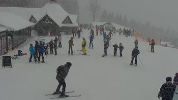 Буковель 22 січня 2022 року, 2022-01-22 16:00