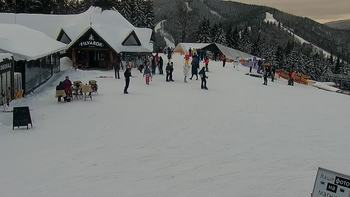 Буковель 31 січня 2022 року, 2022-01-31 16:00