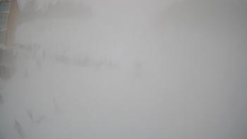 Драгобрат 14 січня 2019 року, 2019-01-14 13:00