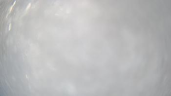 Драгобрат 11 березня 2019 року, 2019-03-11 13:00