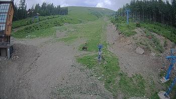 Драгобрат 18 червня 2019 року, 2019-06-18 13:00