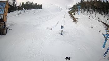 Драгобрат 14 березня 2020 року, 2020-03-14 10:00
