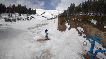 Драгобрат 24 березня 2026 року, 2026-03-24 10:00