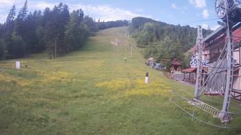 Жденієво 24 травня 2018 року, 2018-05-24 10:00