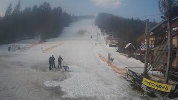 Жденієво 20 лютого 2019 року, 2019-02-20 10:00