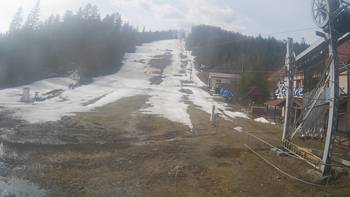 Жденієво 10 березня 2019 року, 2019-03-10 13:00