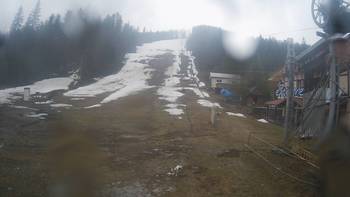 Жденієво 15 березня 2019 року, 2019-03-15 10:00