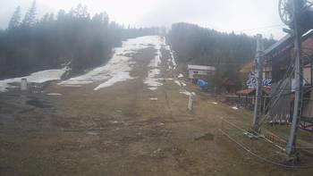 Жденієво 17 березня 2019 року, 2019-03-17 13:00