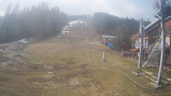 Жденієво 24 березня 2019 року, 2019-03-24 13:00