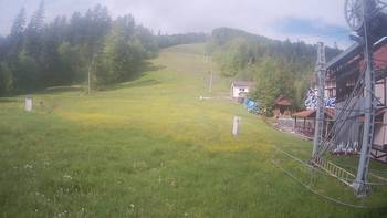 Жденієво 24 травня 2019 року, 2019-05-24 10:00