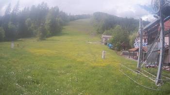 Жденієво 24 травня 2019 року, 2019-05-24 13:00