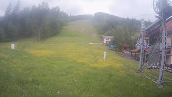 Жденієво 28 травня 2019 року, 2019-05-28 10:00