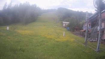 Жденієво 29 травня 2019 року, 2019-05-29 13:00