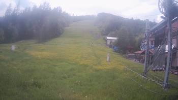 Жденієво 29 травня 2019 року, 2019-05-29 16:00