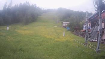 Жденієво 30 травня 2019 року, 2019-05-30 10:00