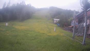 Жденієво 31 травня 2019 року, 2019-05-31 10:00