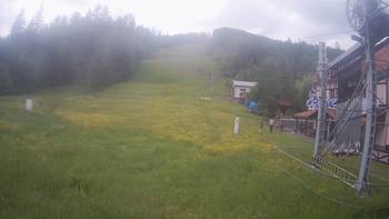 Жденієво 31 травня 2019 року, 2019-05-31 13:00