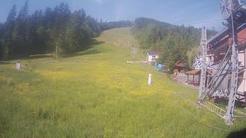 Жденієво 1 червня 2019 року, 2019-06-01 10:00