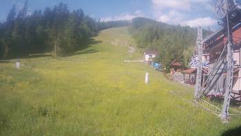 Жденієво 4 червня 2019 року, 2019-06-04 10:00