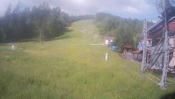 Жденієво 5 червня 2019 року, 2019-06-05 10:00