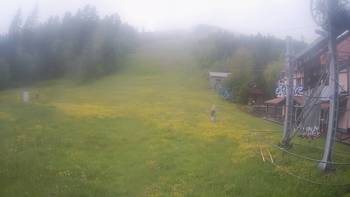 Жденієво 4 червня 2020 року, 2020-06-04 16:00