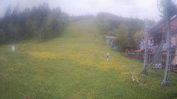 Жденієво 5 червня 2020 року, 2020-06-05 10:00