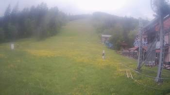 Жденієво 5 червня 2020 року, 2020-06-05 16:00