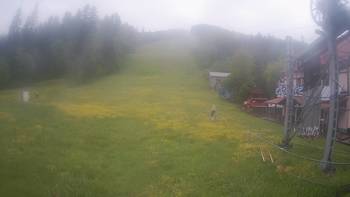 Жденієво 6 червня 2020 року, 2020-06-06 13:00
