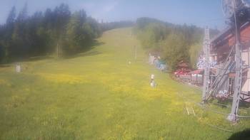Жденієво 7 червня 2020 року, 2020-06-07 10:00