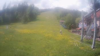 Жденієво 9 червня 2020 року, 2020-06-09 13:00
