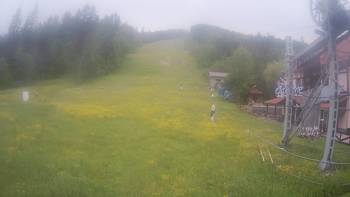 Жденієво 9 червня 2020 року, 2020-06-09 16:00