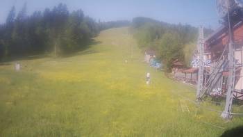 Жденієво 11 червня 2020 року, 2020-06-11 10:00