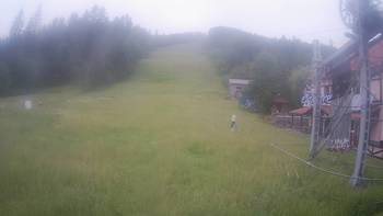 Жденієво 18 червня 2020 року, 2020-06-18 10:00