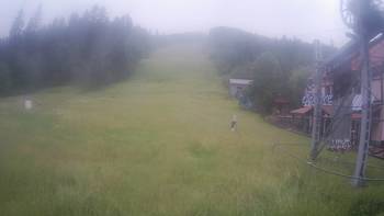 Жденієво 20 червня 2020 року, 2020-06-20 13:00