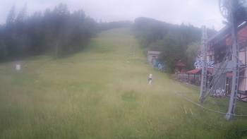 Жденієво 23 червня 2020 року, 2020-06-23 10:00
