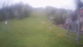 Жденієво 29 травня 2021 року, 2021-05-29 10:00