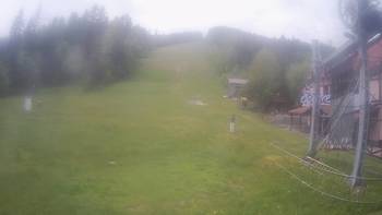 Жденієво 29 травня 2021 року, 2021-05-29 13:00