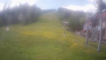 Жденієво 8 червня 2021 року, 2021-06-08 13:00