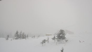 Драгобрат 22 грудня 2018 року, 2018-12-22 10:00