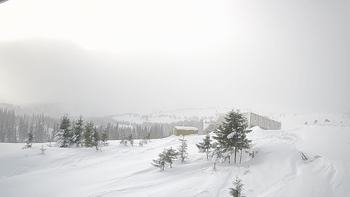 Драгобрат 23 грудня 2018 року, 2018-12-23 10:00