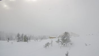 Драгобрат 23 грудня 2018 року, 2018-12-23 13:00