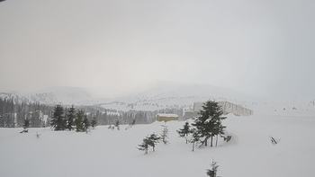 Драгобрат 25 грудня 2018 року, 2018-12-25 16:00