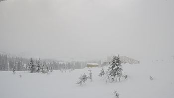 Драгобрат 28 грудня 2018 року, 2018-12-28 10:00