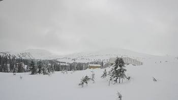 Драгобрат 29 грудня 2018 року, 2018-12-29 10:00