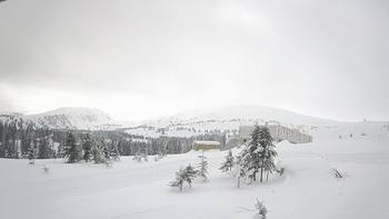 Драгобрат 29 грудня 2018 року, 2018-12-29 13:00