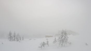 Драгобрат 5 січня 2019 року, 2019-01-05 10:00