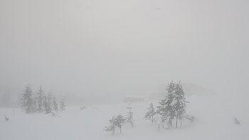 Драгобрат 5 січня 2019 року, 2019-01-05 16:00